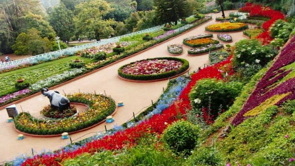 Chandigarh Rose Garden