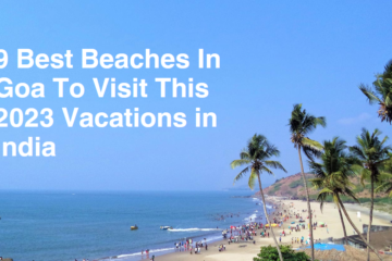 Best Beaches In Goa To Visit